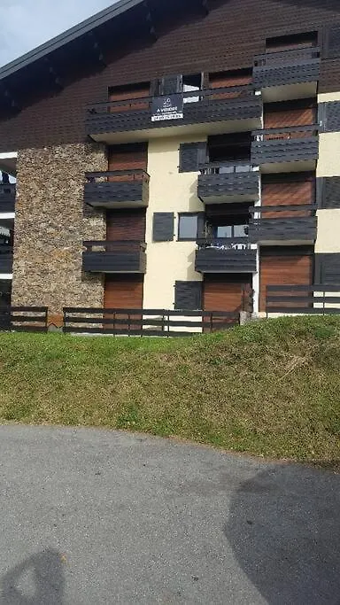 Location Appartement Montagne Chatel Apartment
